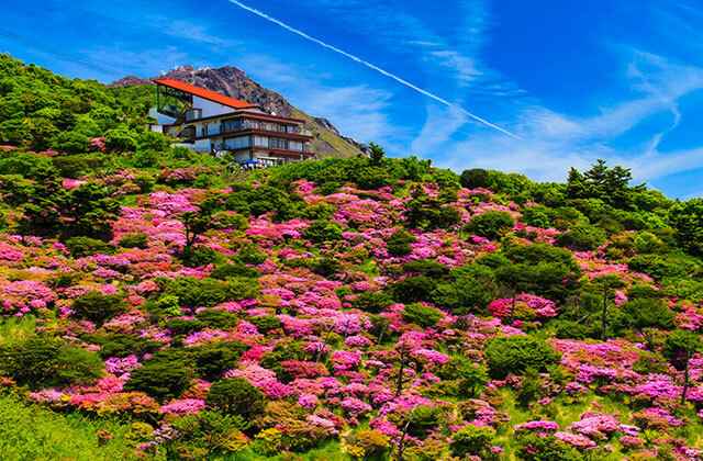 仁田峠