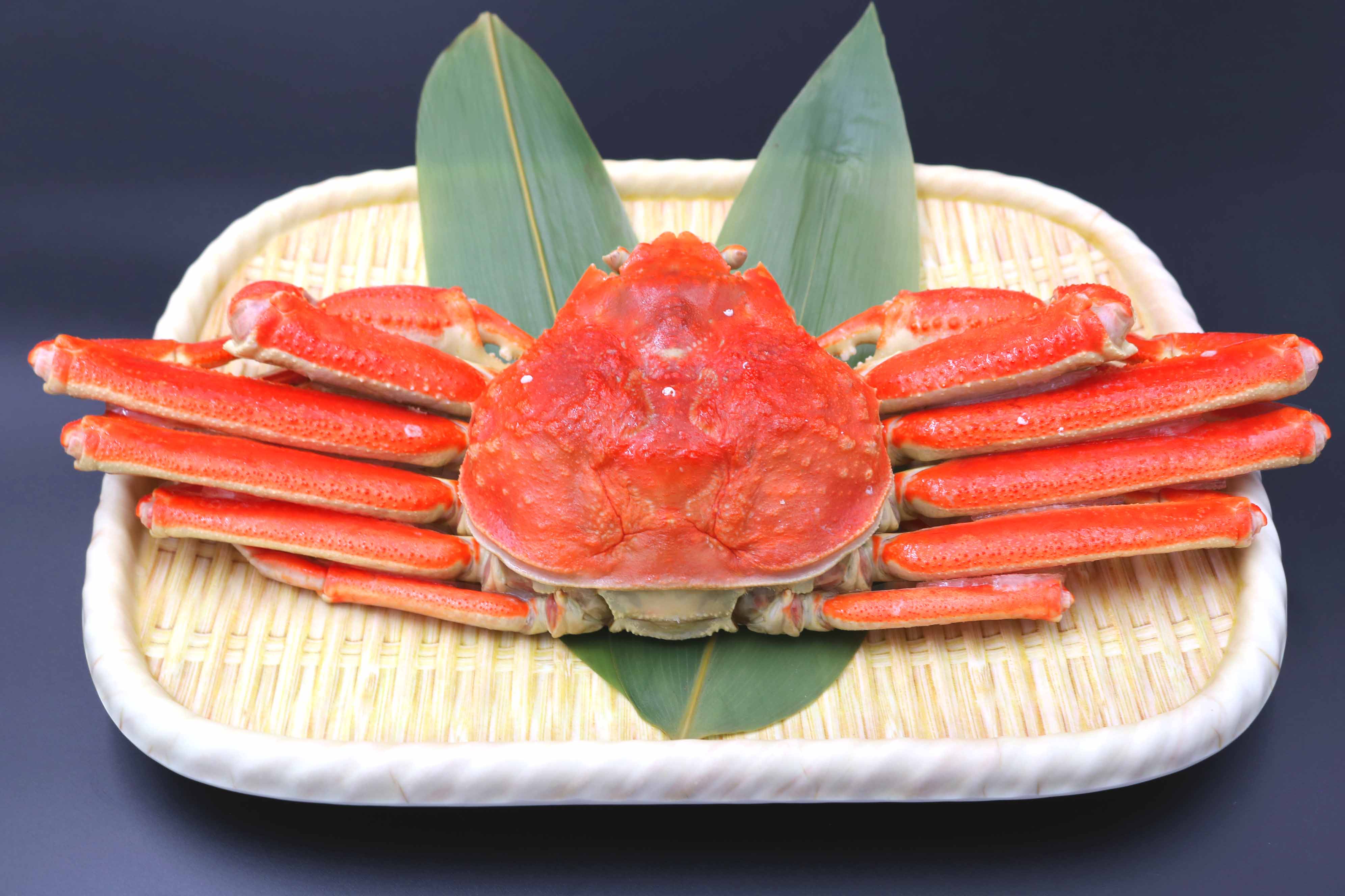 🦀✨ 5月ご宿泊者限定メニュー